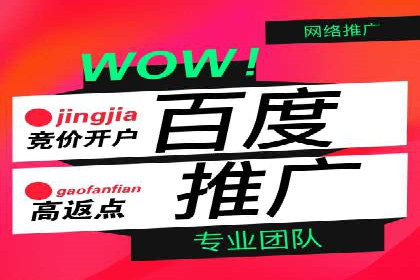 百度推广成功案例解析：品牌知名度飙升
